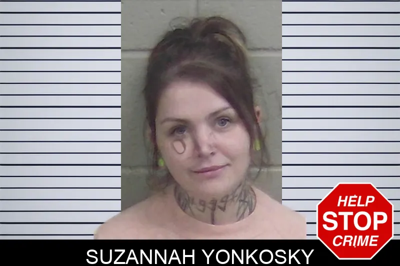 Suzannah Yonkosky Mugshots