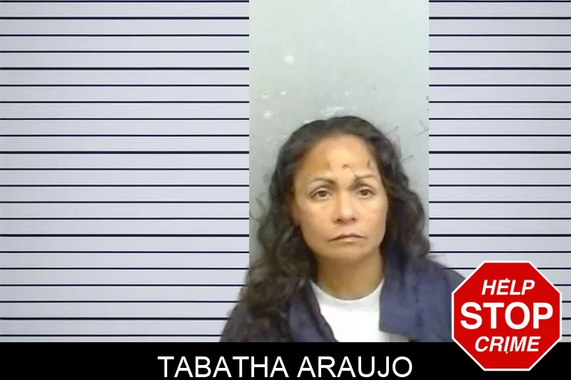 Tabatha Araujo Mugshots