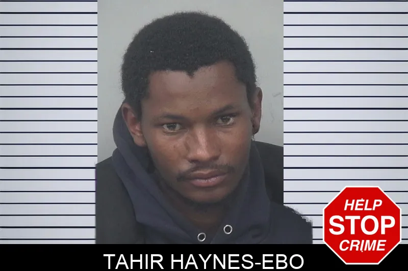 Tahir Haynes-Ebo mugshot