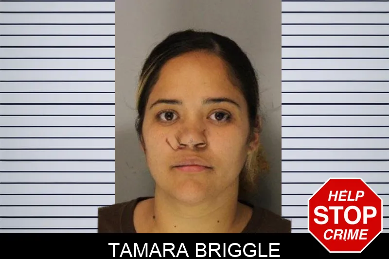 Tamara Briggle mugshot