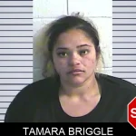 Tamara Briggle Mugshots
