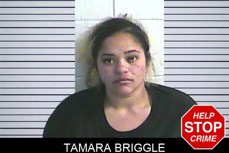 Tamara Briggle
