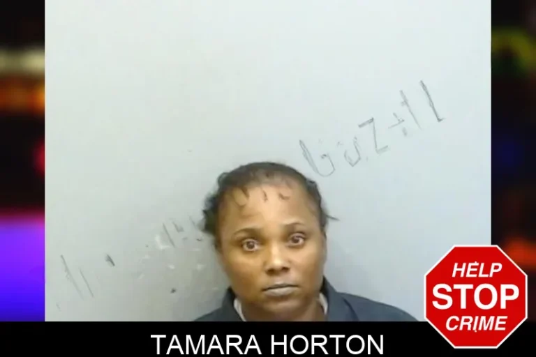Tamara Horton mugshot – Fulton County , Georgia Tamara Horton