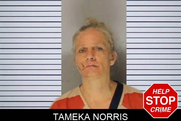 Tameka Norris