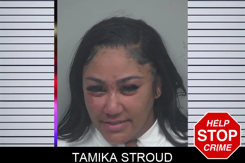 Tamika Stroud mugshot – Gwinnett County , Georgia Tamika Stroud mugshot