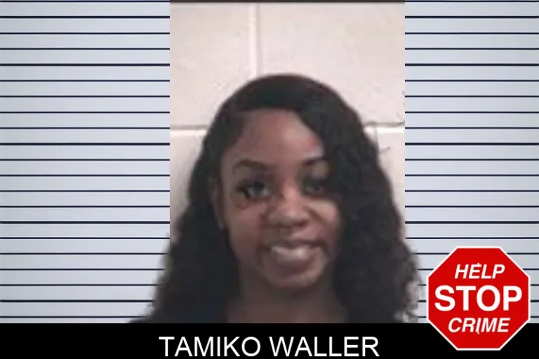 Tamiko Waller mugshot – Henry County , Georgia Tamiko Waller