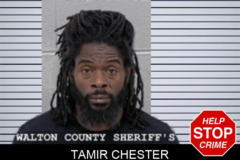Tamir Chester Mugshots