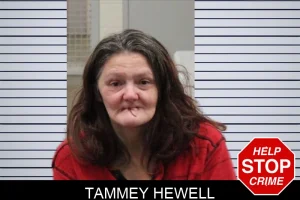 Tammey Hewell mugshot