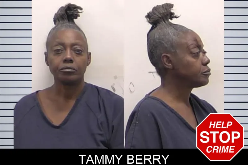 Tammy Berry Mugshots