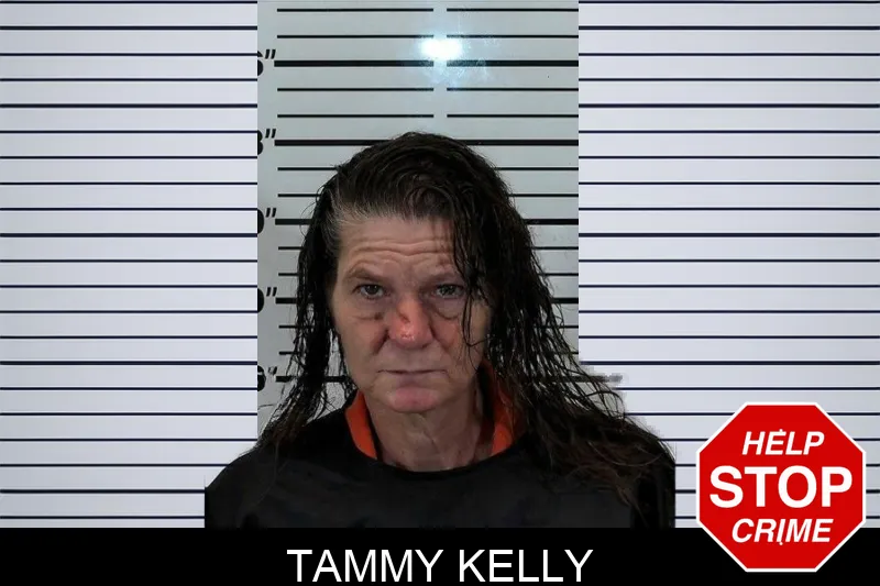 Tammy Kelly Mugshots