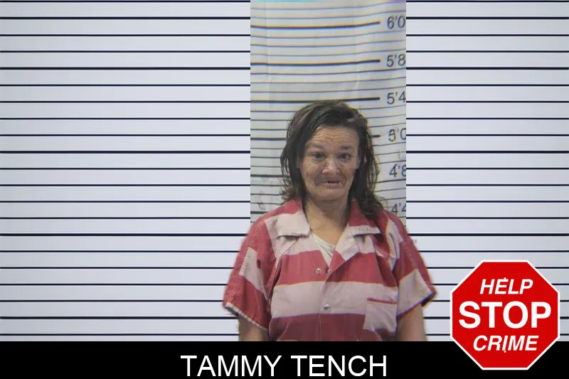 Tammy Tench Mugshots