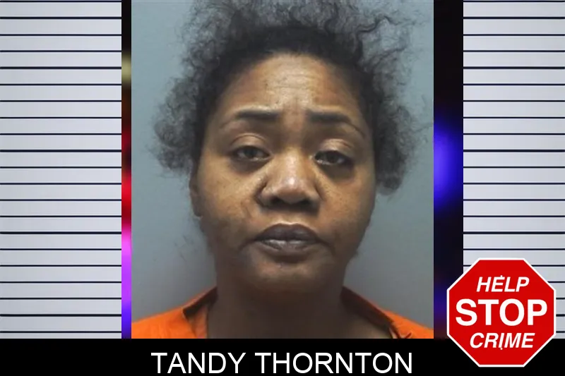 Tandy Thornton Mugshots