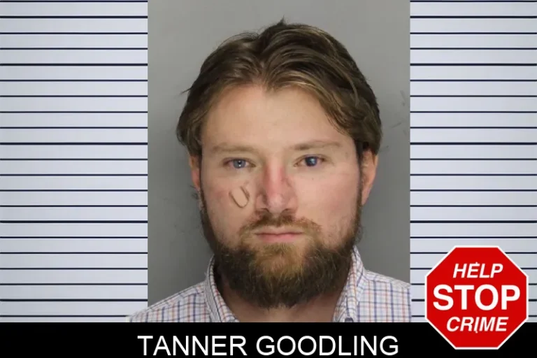 Tanner Goodling mugshot – Cobb County , Georgia Tanner Goodling