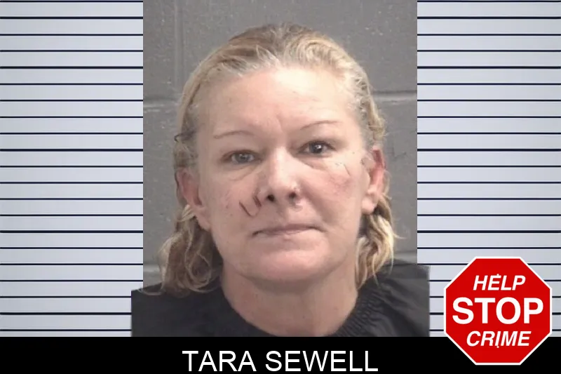 Tara Sewell Mugshots