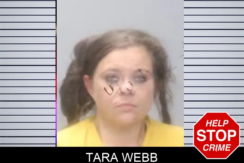 Tara Webb Mugshots