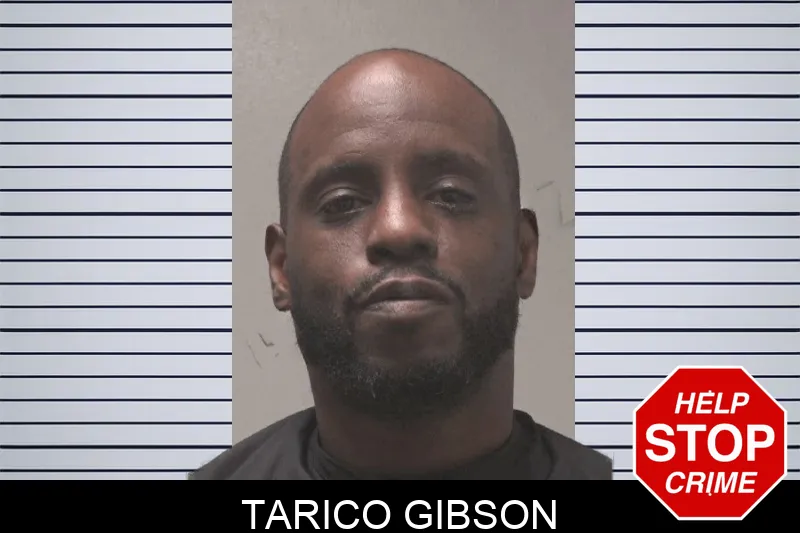 Tarico Gibson Mugshots