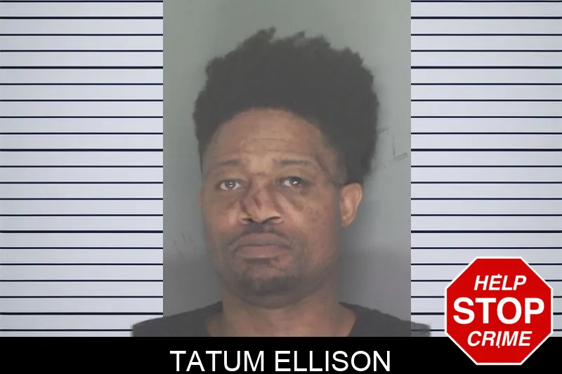 Tatum Ellison Mugshots