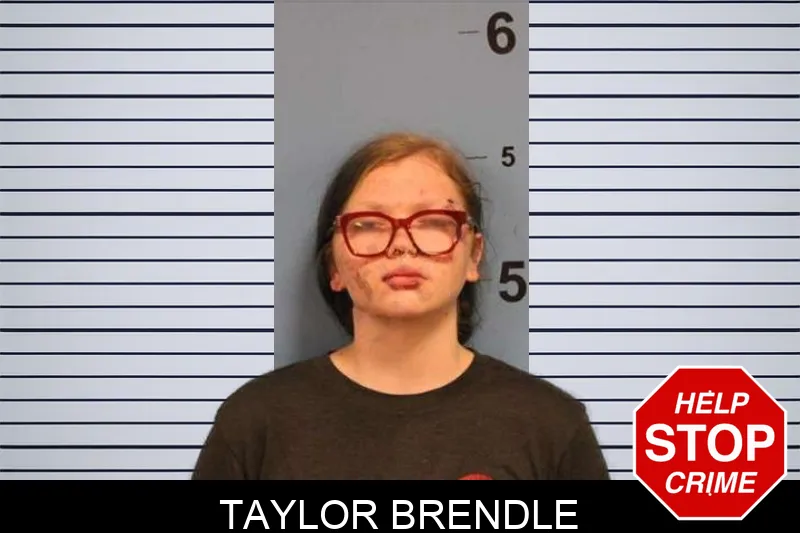 Taylor Brendle Mugshots