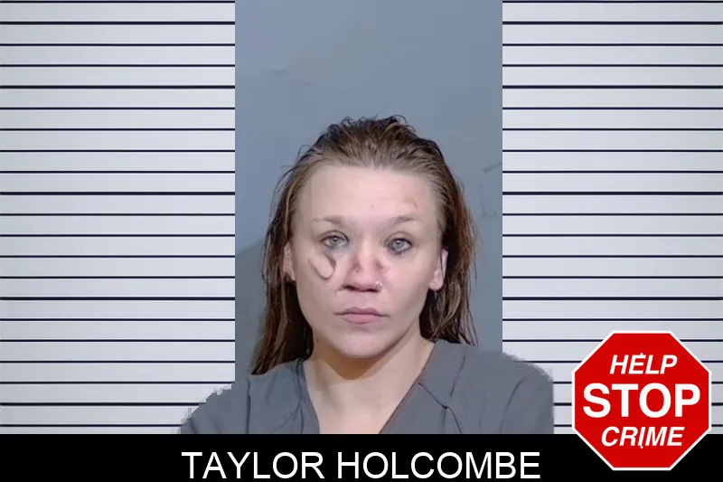 Taylor Holcombe mugshot – Glynn County , Georgia Taylor Holcombe mugshot