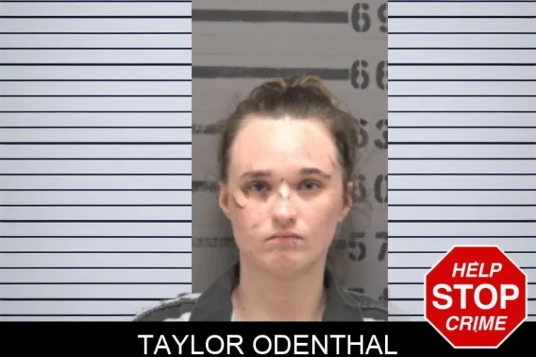 Taylor Odenthal
