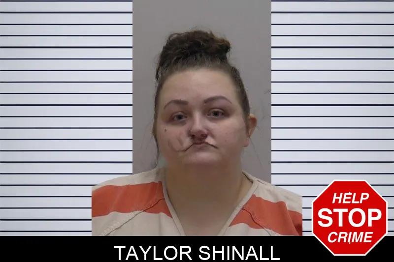 Taylor Shinall Mugshots