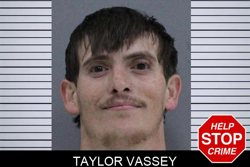 Taylor Vassey Mugshots