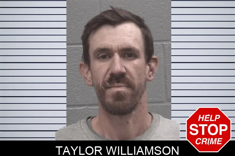 Taylor Williamson Mugshots