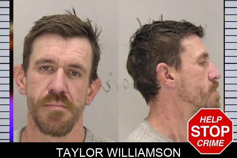 Taylor Williamson Mugshots