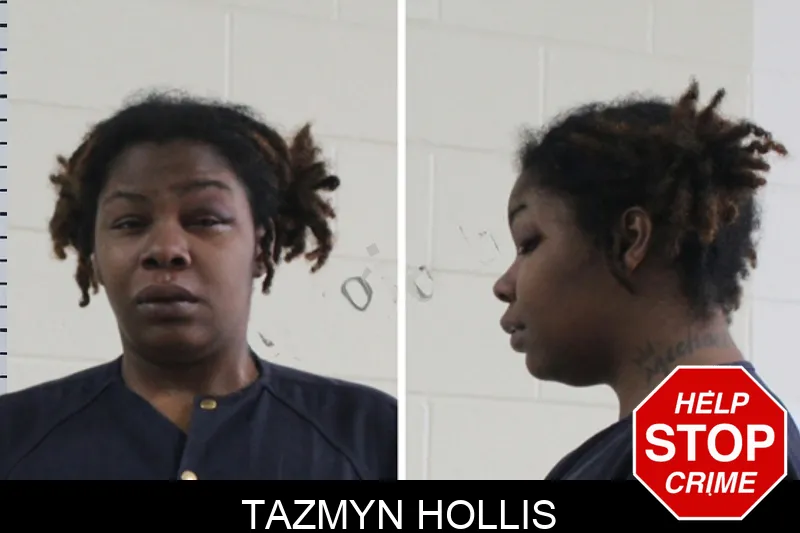 Tazmyn Hollis Mugshots