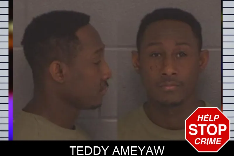 Teddy Ameyaw Mugshots