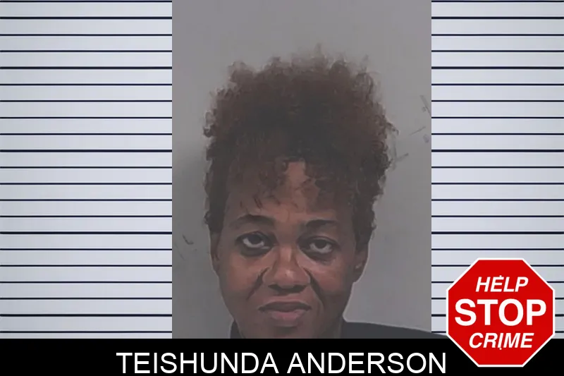 Teishunda Anderson Mugshots