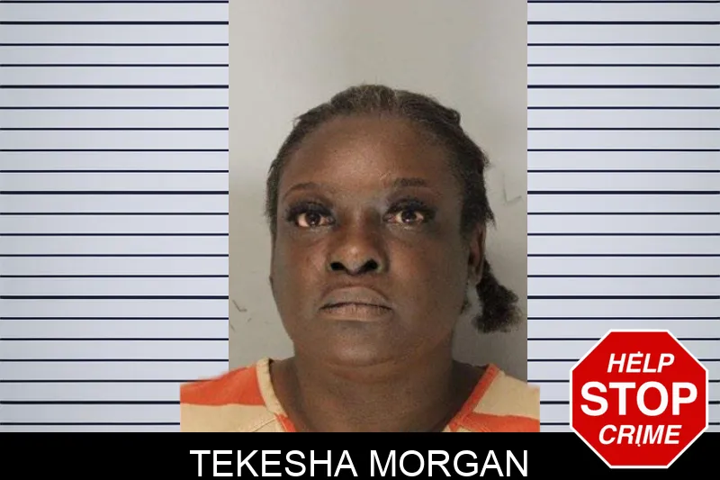 Tekesha Morgan mugshot – Hall County , Georgia Tekesha Morgan mugshot