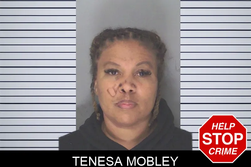 Tenesa Mobley mugshot – Douglas County , Georgia Tenesa Mobley mugshot