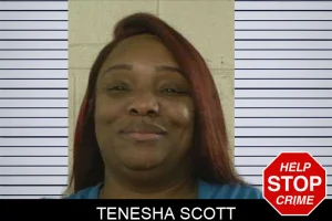 Tenesha Scott mugshot