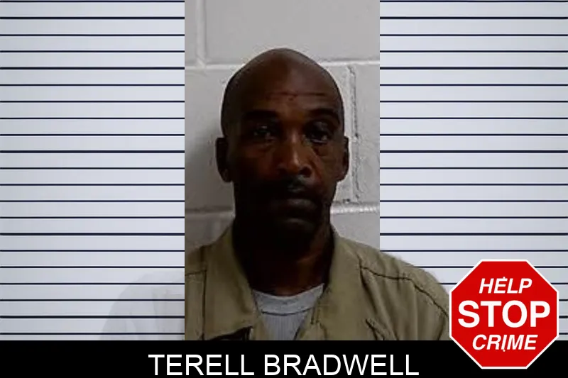 Terell Bradwell Mugshots