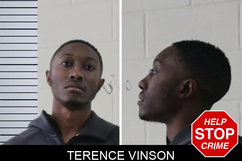 Terence Vinson Mugshots