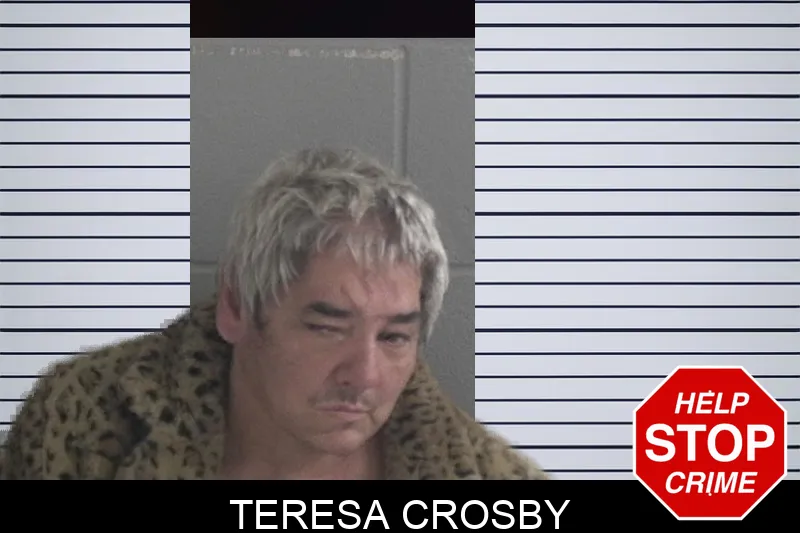 Teresa Crosby Mugshots