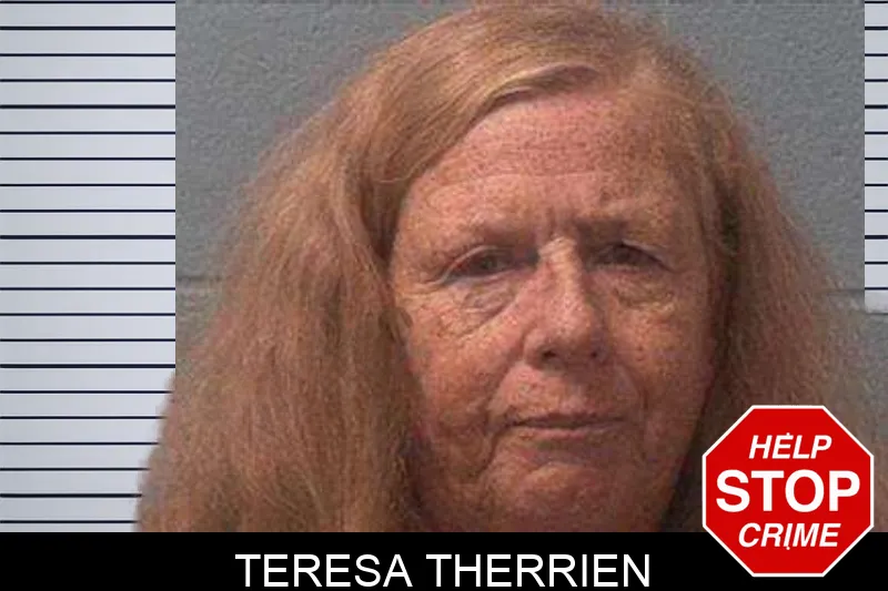Teresa Therrien Mugshots