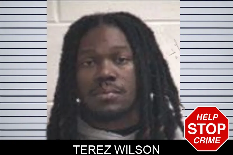 Terez Wilson Mugshots