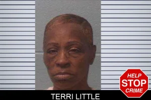 Terri Little mugshot