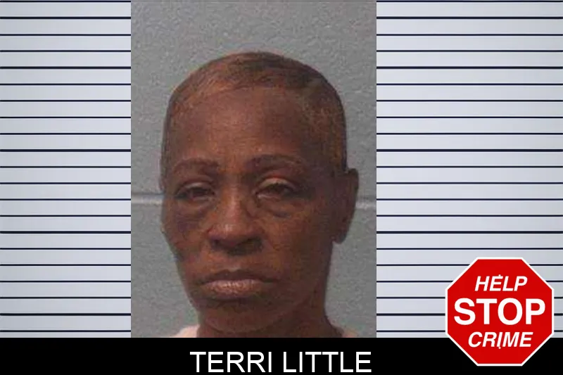 Terri Little Mugshots