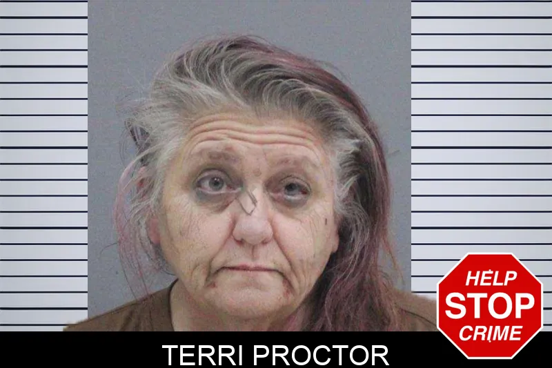 Terri Proctor Mugshots