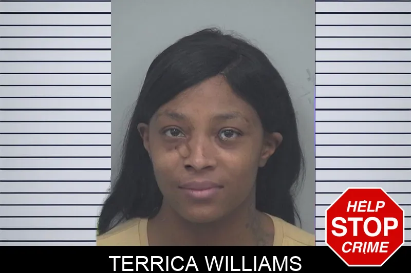 Terrica Williams Mugshots