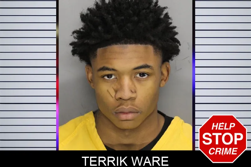 Terrik Ware Mugshots