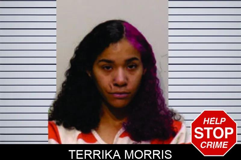 Terrika Morris mugshot – Bartow County , Georgia Terrika Morris mugshot