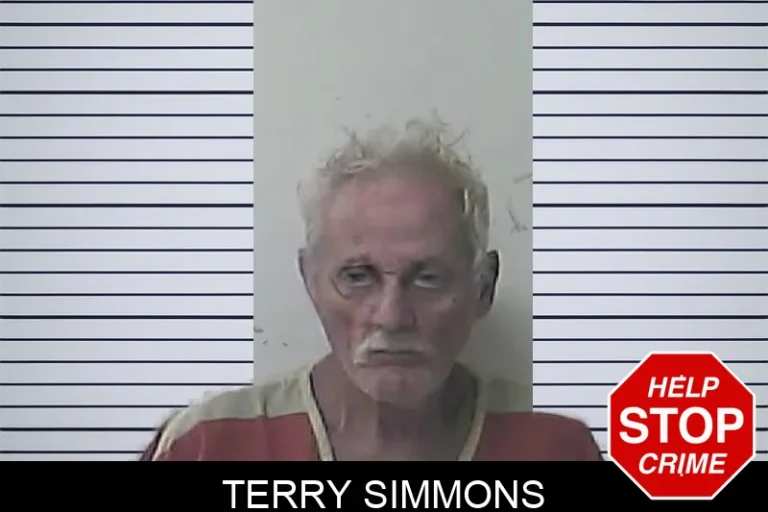 Terry Simmons