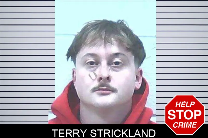 Terry Strickland Mugshots