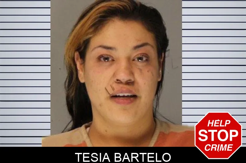 Tesia Bartelo mugshot