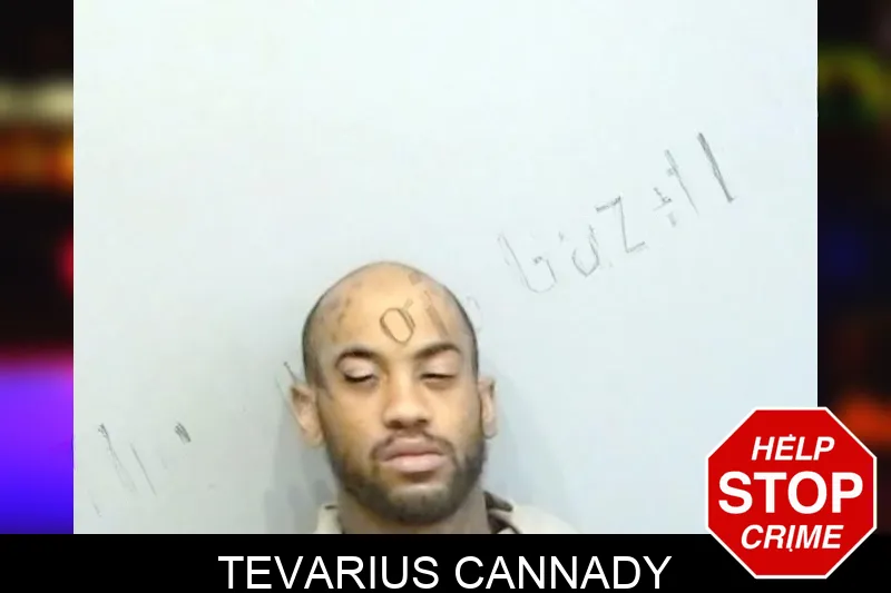 Tevarius Cannady mugshot – Fulton County , Georgia Tevarius Cannady mugshot