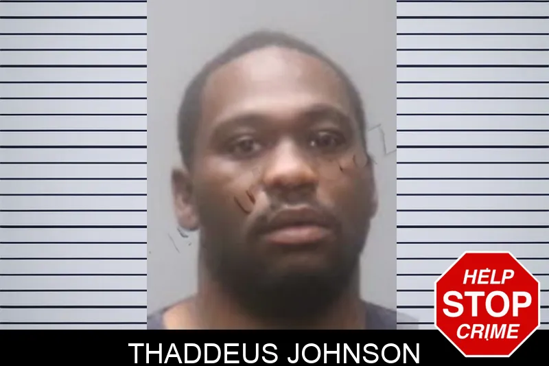 Thaddeus Johnson Mugshots
